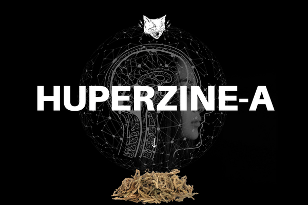Huperzine-A -This Ingredient Is Incredible For Focus!