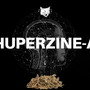 Huperzine-A -This Ingredient Is Incredible For Focus!