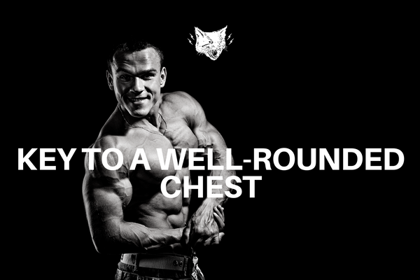 WELL-ROUNDED CHEST WORKOUT GUIDE