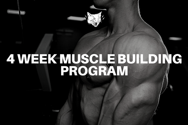 4 WEEK MUSCLE BUILDING PROGRAM