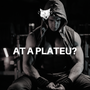 AT A PLATEU?