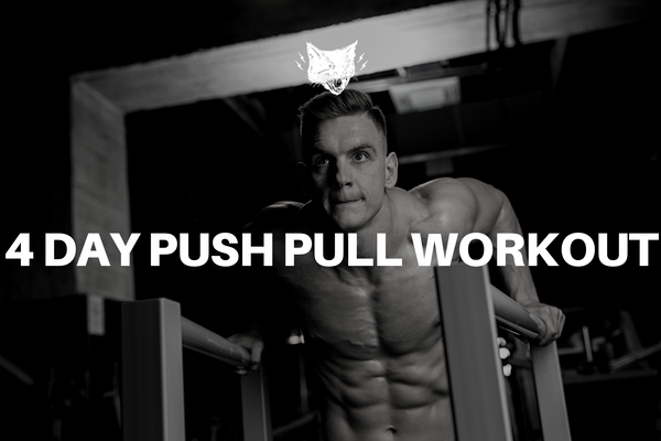 4 Day Push Pull Workout