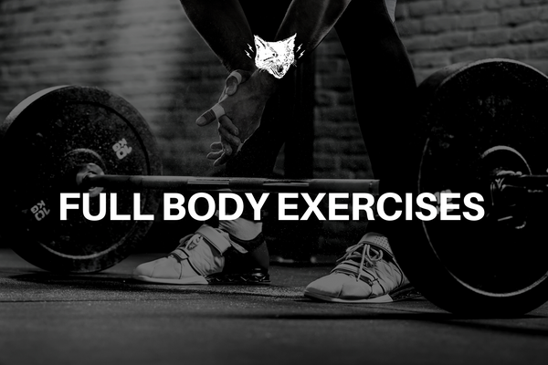 FULL BODY EXERCISES