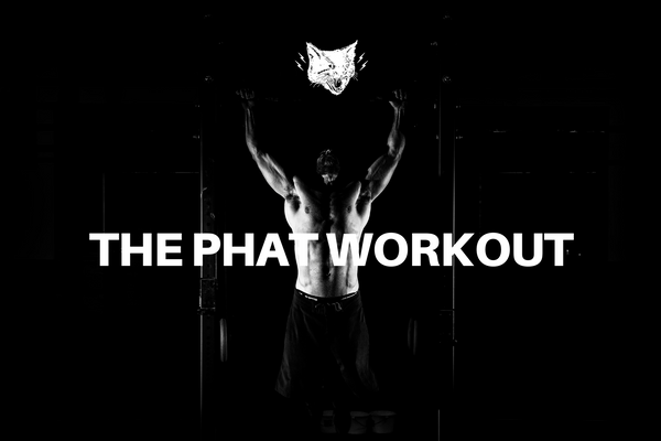 THE PHAT WORKOUT