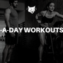 2-A-DAY WORKOUTS?