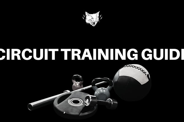Circuit Training Guide