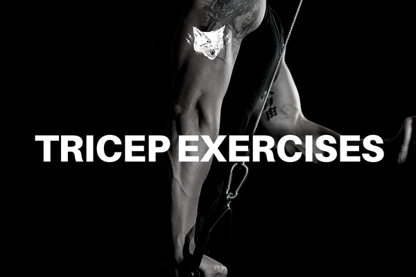Top 8 Tricep Exercises