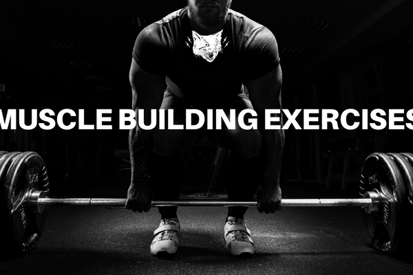 The Top 7 Muscle Building Exercises