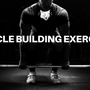 The Top 7 Muscle Building Exercises