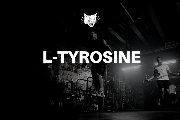 L-TYROSINE BREAKDOWN