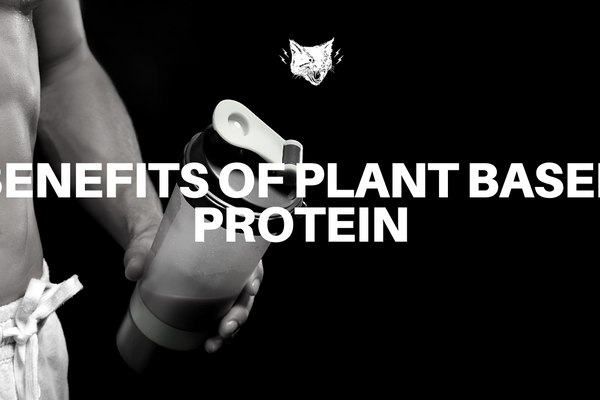 Benefits of Plant Based Protein