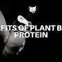 Benefits of Plant Based Protein