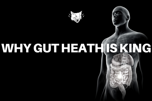 WHY GUT HEALTH IS KING