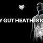 WHY GUT HEALTH IS KING