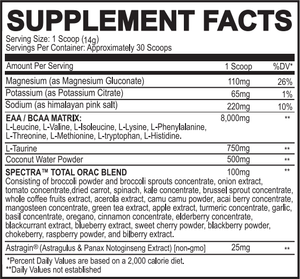 KEYZ - Amino Acid Recovery Matrix